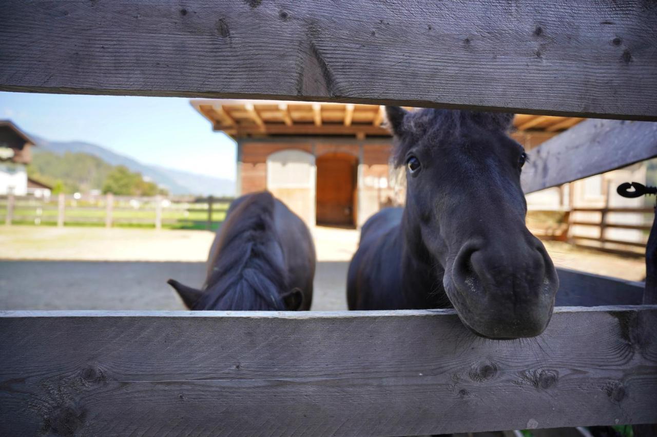 Appartamento Martlerhof Aschau Im Zillertal Esterno foto
