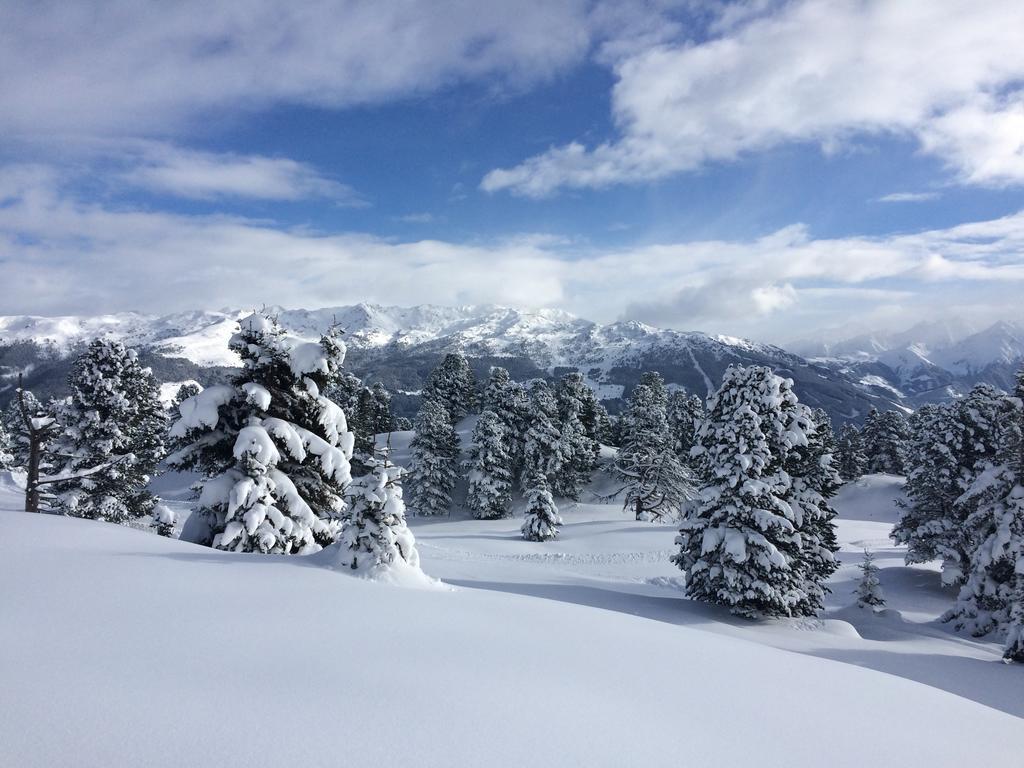 Appartamento Martlerhof Aschau Im Zillertal Esterno foto